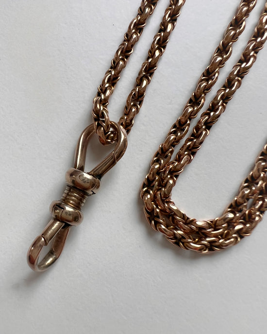 ANTIQUE GOLD DOUBLE DOG CLIP