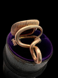 VICTORIAN SNAKE FOB WITH REBUS INTAGLIO