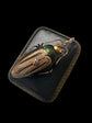 VICTORIAN LARGE BEETLE PENDANT / BROOCH
