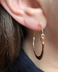 EARLY 19TH CENTURY OUROBOROS SNAKE HOOPS