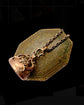 EARLY 19TH CENTURY FOB PENDANT ‘NOTHING WITHOUT PAIN’