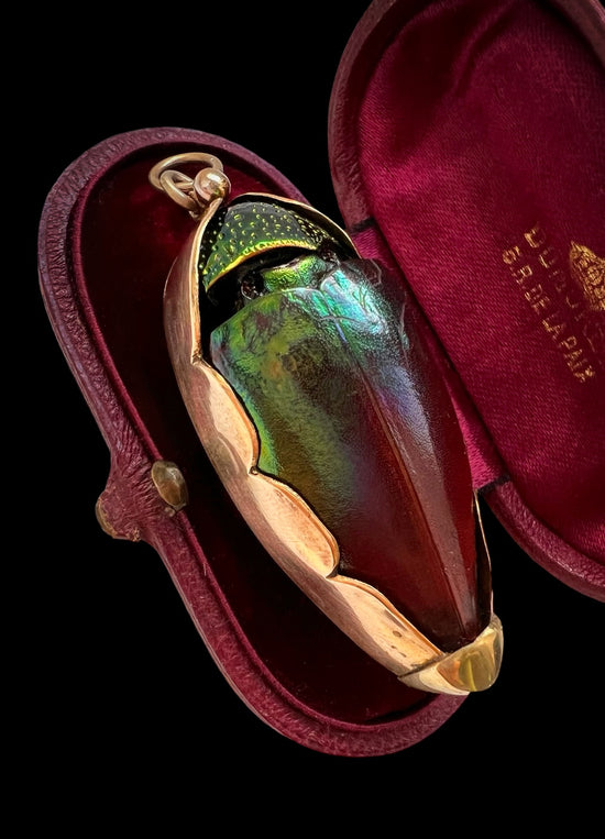 VICTORIAN LARGE BEETLE PENDANT