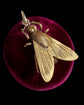 VICTORIAN 15CT GOLD FLY PENDANT