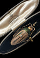 VICTORIAN LARGE BEETLE PENDANT / BROOCH