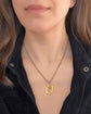 VICTORIAN 18CT GOLD & DIAMOND HORSESHOE PENDANT