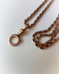 VICTORIAN UNUSUAL 9CT GOLD BOLT & DOG CLIP