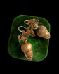 VICTORIAN PINCHBECK ACORN EARRINGS