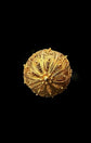 19TH CENTURY LARGE FILIGREE SPHERE PENDANT