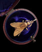 VICTORIAN 15CT GOLD FLY PENDANT