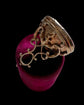 EARLY 19TH CENTURY SEAL ‘JE CHERCHE UN’