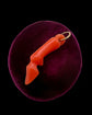 EARLY 19TH CENTURY CORAL DEERS LEG PENDANT