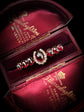 VICTORIAN DIAMOND HORSESHOE AND GARNET BROOCH