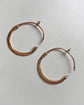 EARLY 19TH CENTURY OUROBOROS SNAKE HOOPS