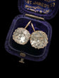VICTORIAN PASTE EARRINGS