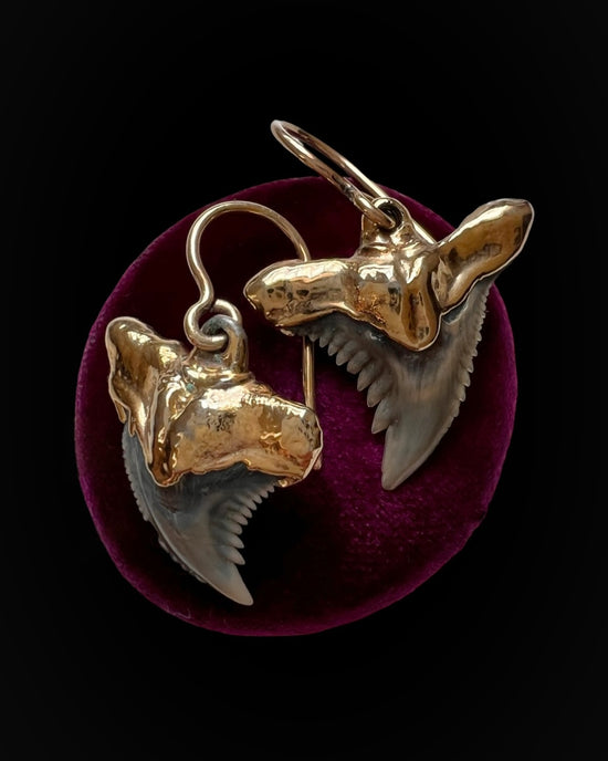 SHARKS TEETH DROP EARRINGS