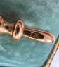 VICTORIAN 9CT GOLD DOUBLE DOG CLIP