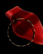 19TH CENTURY ELEPHANT HAIR & 18CT GOLD BANGLE