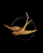 VICTORIAN 15CT GOLD SWALLOW PENDANT