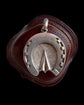 LARGE VICTORIAN SILVER HORSE HOOF LOCKET