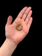 VICTORIAN 15CT GOLD LARGE HORSESHOE PENDANT