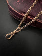 VICTORIAN 9CT GOLD DOUBLE DOG CLIP