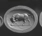 19TH CENTURY GLASS INTAGLIO OF ‘DIONYSIAN BULL’