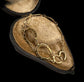 VINTAGE 9CT GOLD HORSESHOE BRACELET