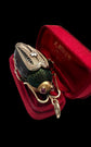 VICTORIAN LARGE BEETLE PENDANT / BROOCH