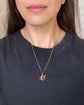 VICTORIAN 15CT GOLD & GEM SET HORSESHOE PENDANT