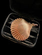 EARLY VICTORIAN 15CT GOLD SHELL LOCKET