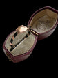 VICTORIAN ELEPHANT HAIR & GOLD SHIELD RING