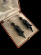 VICTORIAN WHITBY JET FUCHSIA EARRINGS