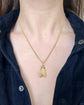 VICTORIAN 15CT GOLD FLY PENDANT