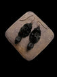 VICTORIAN WHITBY JET ACORN EARRINGS