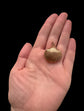 EARLY VICTORIAN 15CT GOLD SHELL LOCKET