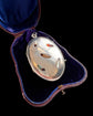 19TH CENTURY SHIBAYAMA INSECT LOCKET