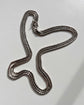 ANTIQUE SILVER SNAKE GAURD CHAIN