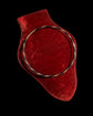 19TH CENTURY ELEPHANT HAIR & 18CT GOLD BANGLE