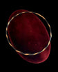 19TH CENTURY ELEPHANT HAIR & 18CT GOLD BANGLE