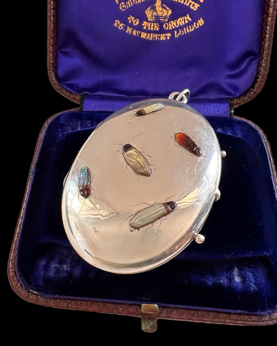 19TH CENTURY SHIBAYAMA INSECT LOCKET