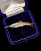 VICTORIAN ENAMEL FISH PENDANT