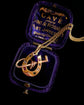 VICTORIAN 15CT GOLD & GEM SET HORSESHOE PENDANT