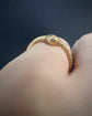 19TH CENTURY OUROBOROS SNAKE BAIL / RING