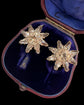 19TH CENTURY FACETED PASTE STAR EARRINGS
