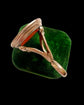 19TH CENTURY DOULBE OUROBOROS FOB PENDANT ‘TENTANDA VIA EST’