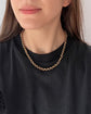 VICTORIAN 9CT GOLD DOUBLE DOG CLIP