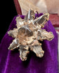 19TH CENTURY FACETED PASTE STAR EARRINGS