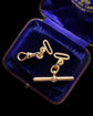 ANTIQUE 18CT GOLD CHUNKY DOG CLIP AND EXTENDER CHAIN