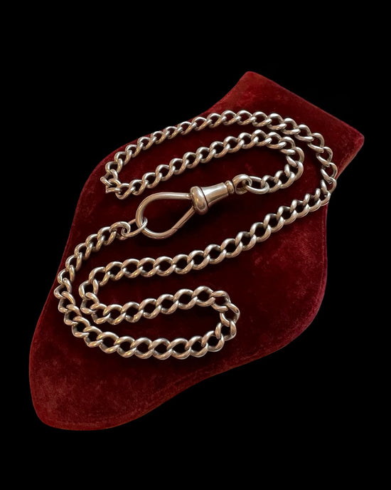 ANTIQUE SILVER CHAIN WITH HUGE DOGCLIP