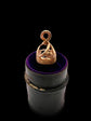VICTORIAN SNAKE FOB WITH REBUS INTAGLIO